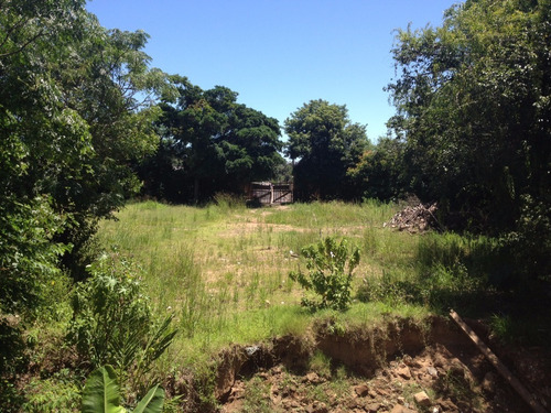 Terreno Em Cavalhada - El50876747
