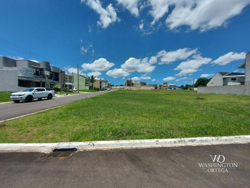 Imagem 6 de 21 de Terreno À Venda, 703 M² Por R$ 299.000,00 - Umbará - Curitiba/pr - Te0163