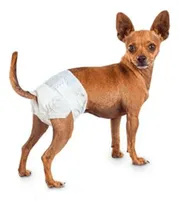 Comprar Pañales Desechables Para Mascotas Perro Hembra Talla S