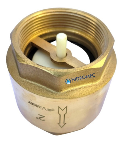 Válvula De Retención De Agua Bronce 2 1/2'' Pulgada Riego