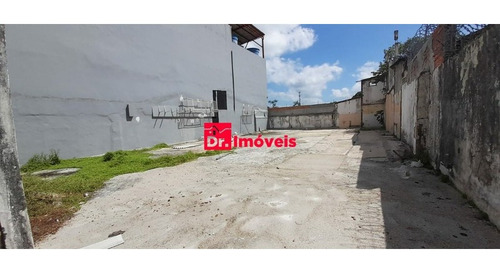 Imagem 26 de 27 de Galpão Belém - 1007562