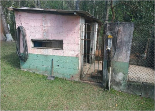 Imagem 12 de 14 de Excelente Chácara Com Piscina E Lago Cod: 4461
