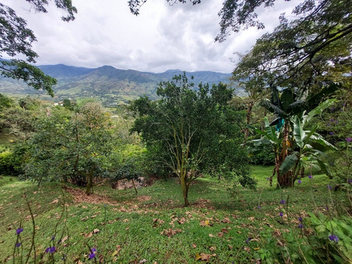 Imagen 15 de 29 de Bajó De Precio - Venta De Finca En La Parcelación Estación Popalito - Barbosa Antioquia