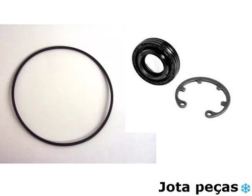 Anel Reparo Do Compressor Fiat 1.8 Motor Gm + Selo Delphi
