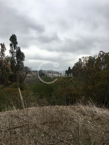 Imagen 24 de 30 de Parcela En Venta Bosques De Mantagua