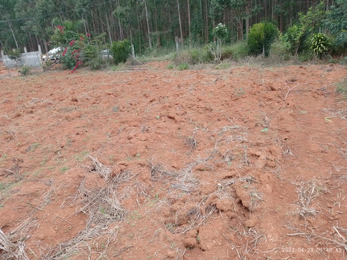 Terreno Com 2.068 M2