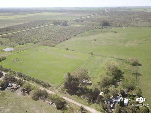 Imagen 20 de 20 de Chacra Sobre Ruta 20 Gualeguaychu!