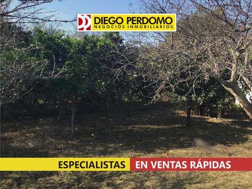 Imagen 2 de 9 de Casa De 3 Dormitorios En Venta - Ciudad Del Plata