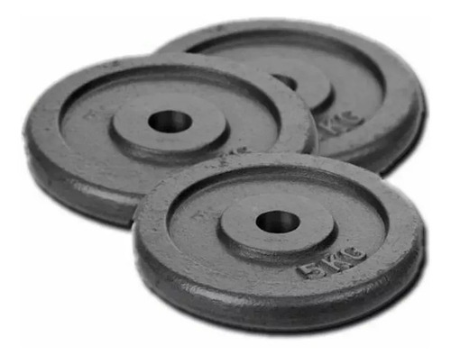 Discos Fundición Hierro 10 Kg (2x 5kg) Para Mancuernas Pesas
