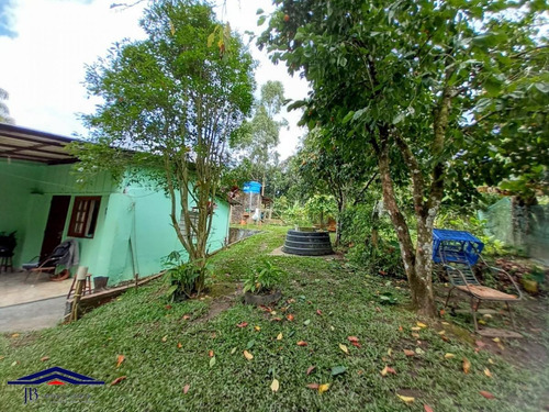 Imagem 3 de 15 de Sítio / Chácara Para Venda Em São José Dos Pinhais, Área Rural De São José Dos Pinhais, 3 Dormitórios, 1 Banheiro - 65_2-1174112