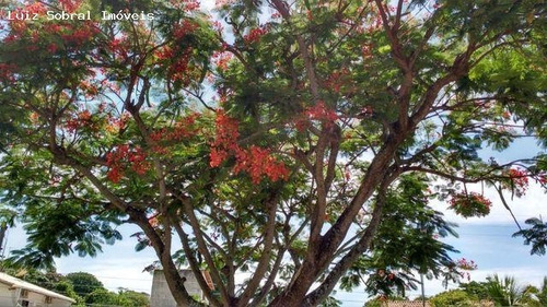 Imagem 7 de 12 de Casa Para Venda Em Araruama, Bananeiras, 5 Dormitórios, 3 Suítes, 5 Banheiros, 4 Vagas - 3190_2-1191290