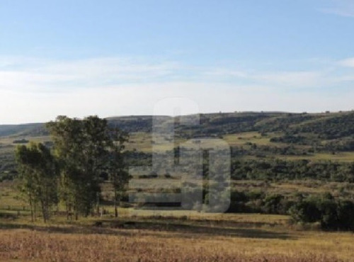 Imagen 1 de 4 de Tacuarembo 1.350ha (ganadero)