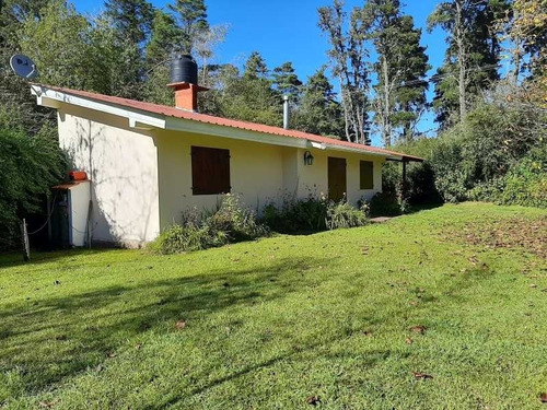 Imagen 15 de 21 de Villa Berna, Fracción 1 Hectárea Con 2 Casas Sobre Avenida