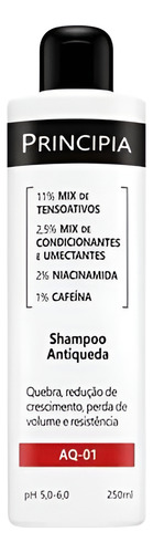 Principia Shampoo Antiqueda Aq-01 250ml Ph 5-6