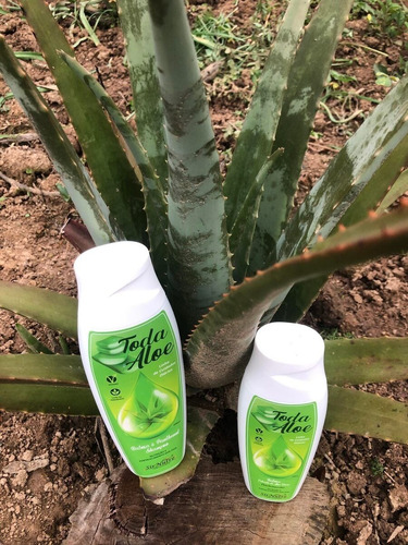 Kit Shampoo E Condicionador Sirnutre Babosa Nutrição Fortale