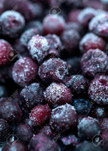 Arándanos Congelados X 2 Kilos