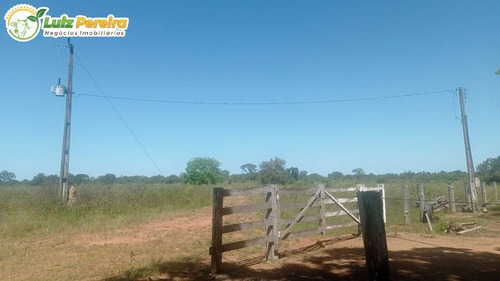 Imagem 10 de 15 de Fazenda Á Venda No Formoso Do Araguaia - To - 1.327,2 Hec., (dupla Ptidão) - 2263