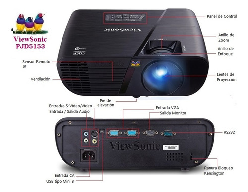 Proyector Viewsonic Pjd5155 Lightstream Negro 3300lm 220v