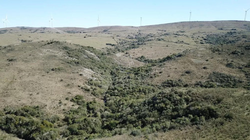 Campo 86 Has 6937 M2 En La Cañas