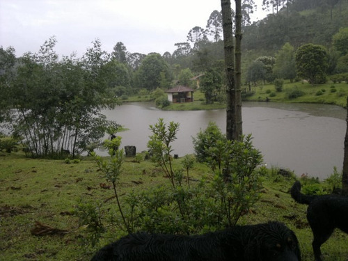 Imagem 2 de 15 de Magnifica Fazendinha 33 Alqueires - St-631