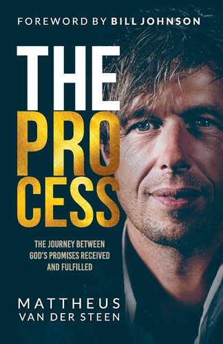 Libro: El Proceso: El Viaje Entre Los Dioses: Promesas Recib