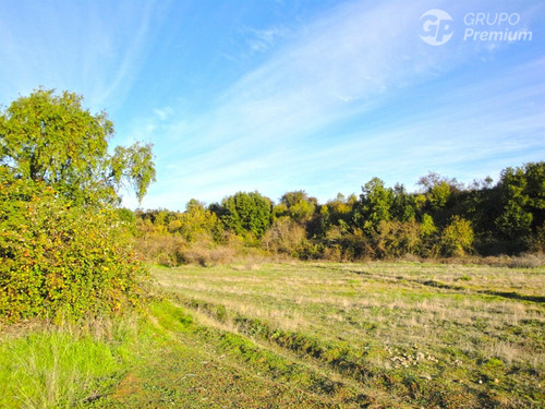 Terreno Agrícola En Arriendo En Longaví