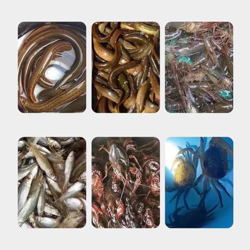 De Pesca Rede Ferramentas De Pesca Ao Ar 6 Furos 32cmx32cm