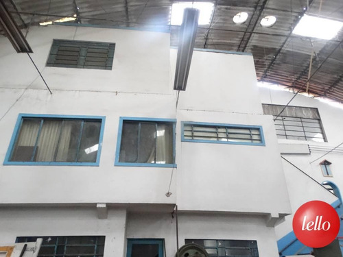 Comercial/industrial - Ref: 224550