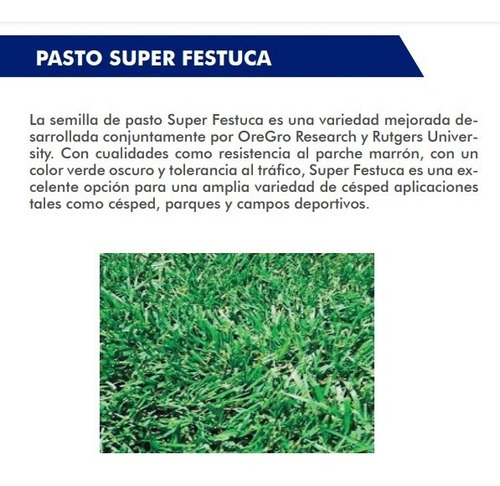 Semilla De Pasto Para Jardín Super Festuca 50 Lbs