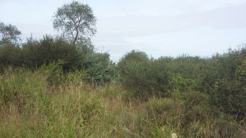 Imagen 5 de 13 de Se Venden 76 Hectareas A 5 Km De Las Arrias