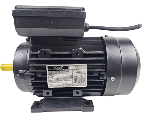 Motor Elétrico 3cv 4 Pólos Monof. Bivolt Ip55 Yl100l1 Lynus