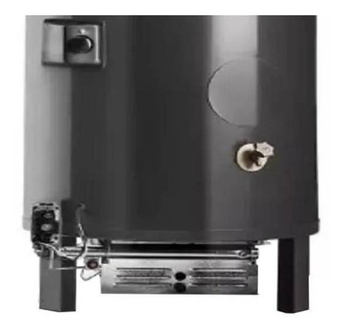 Imagen 2 de 3 de Termotanque Rheem Gas Natural Superior 300 Litros Rhctp300n