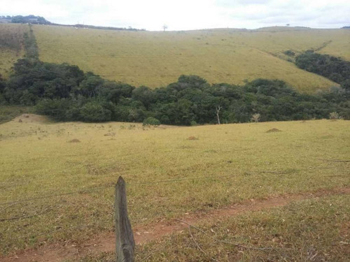 Imagem 16 de 29 de Fazenda De Gado Com 263 Hectares Itajuba - 36525