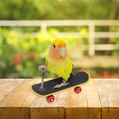 Juguetes Para Loros, Juguetes Para Pájaros, Soporte Para