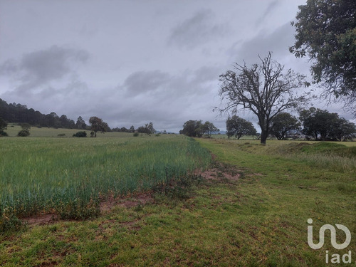 Venta Terreno 0 Ambiente Tecocomulco De Juárez