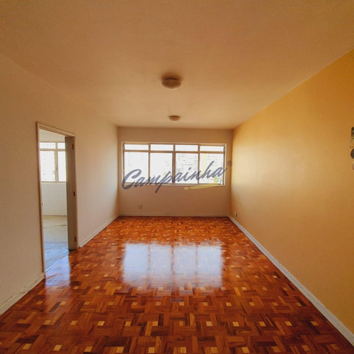 Imagem 1 de 12 de Apartamento Para Aluguel Em Vila Itapura - Ap001700