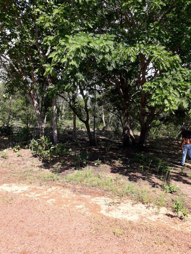 Imagem 3 de 11 de Vende/troca Chácara 13x77 Beira Do Lago/luzimangues