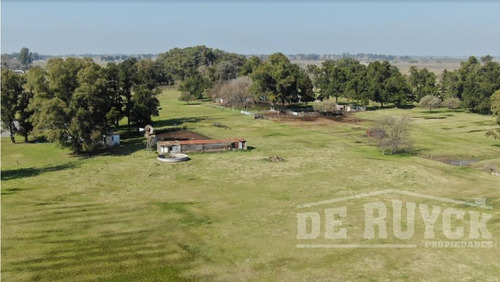 Campo En Venta En Guernica