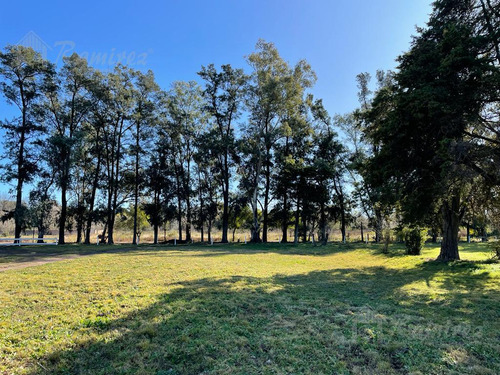 Imagen 29 de 30 de Lote Terreno En Venta 300 M2 - Parques Del Morenito, Moreno Norte
