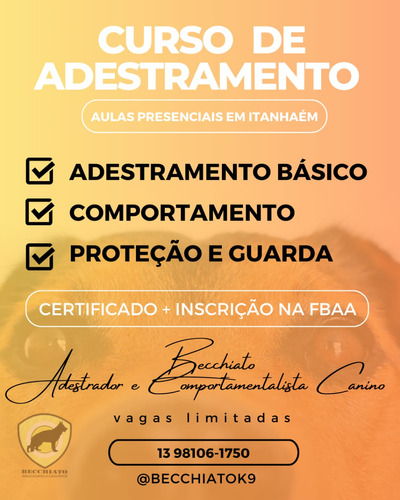 Curso Completo De Adestramento De Caes Adestrador 