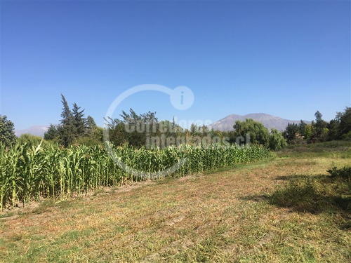 Sitio En Venta En Pirque