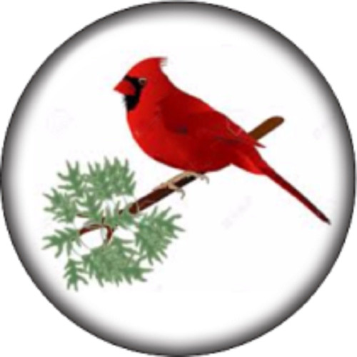 Charm Boton Presion Pajaro Rojo Cardenal 18 Mm Â Trozo