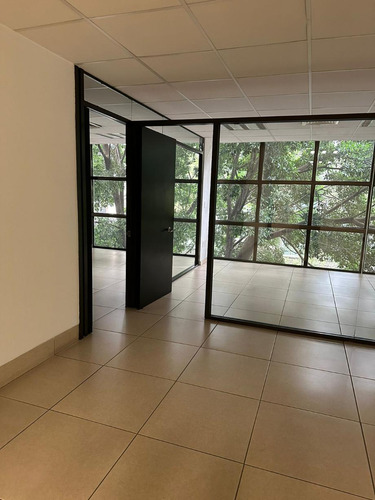 Oficinas En Renta En Río Tiber Piso 2