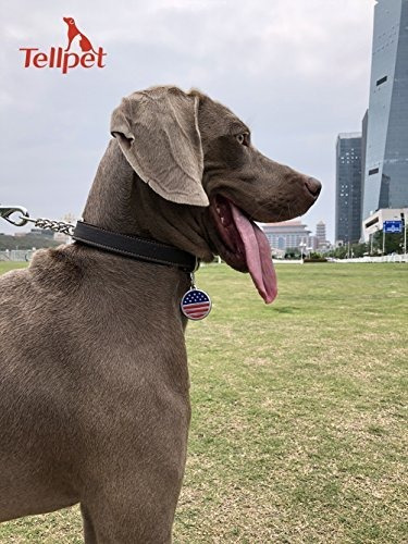 Imagen 5 de 7 de Collar De Estrangulador De Cuero Para Perro Martingala,