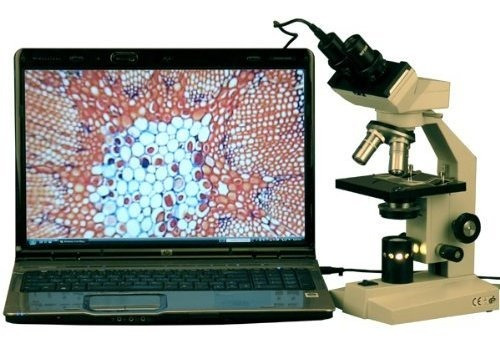 Microscopio Compuesto 40x -1000x Ampliación.