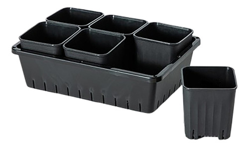 Maceta Para Trasplante De Plántulas, Caja De 6 Rejillas