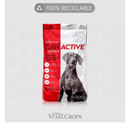 Alimento Perro Canactive Adultos X 20 kg