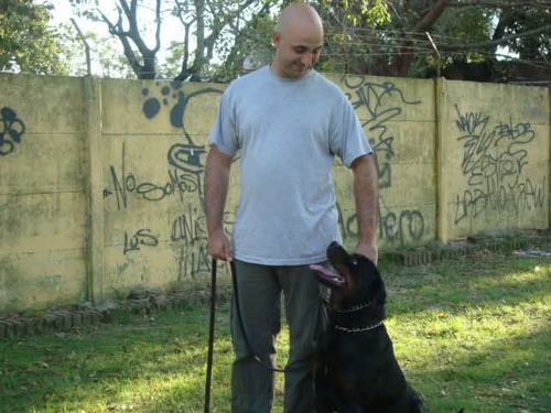 Adiestrador Canino Zona Sur
