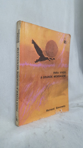 Livro Para Viver A Grande Mensagem - Richard Simonetti - Editora Feb (Usado)