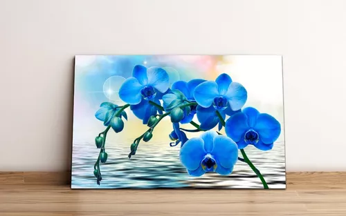 Cuadro Decorativo Flores Orquídeas Azules 86x56 Fotografía